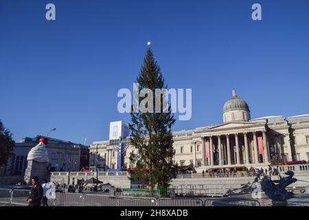 Londra, Regno Unito. 2 dicembre 2021. L'albero di Natale è stato installato a Trafalgar Square. L'albero di quest'anno è stato criticato per essere sottomesso, sparso e sottile. Gli alberi di Natale sono stati inviati ogni anno a Londra come regalo dalla Norvegia dal 1947. Credit: SOPA Images Limited/Alamy Live News Foto Stock