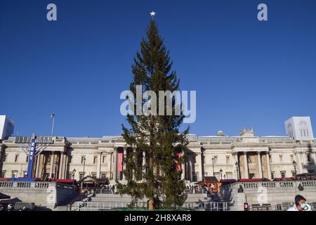 Londra, Regno Unito. 2 dicembre 2021. L'albero di Natale è stato installato a Trafalgar Square. L'albero di quest'anno è stato criticato per essere sottomesso, sparso e sottile. Gli alberi di Natale sono stati inviati ogni anno a Londra come regalo dalla Norvegia dal 1947. (Foto di Vuk Valcic/SOPA Images/Sipa USA) Credit: Sipa USA/Alamy Live News Foto Stock