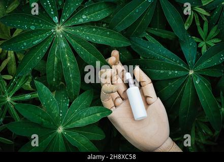 Cosmetici naturali, siero su mano di legno, piante verdi di sfondo, Foto Stock