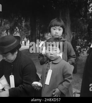 Membri della famiglia Mochida in attesa di evacuazione Bus, identificatori utilizzati per mantenere intatta un'unità familiare durante tutte le fasi di evacuazione, Hayward, California, USA, Dorothea Lange, US War Relocation Authority, maggio 1942 Foto Stock