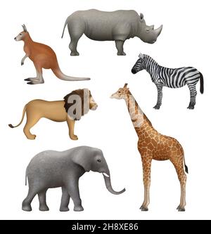Animali selvatici realistici. Elefante canguro leone zebra rinoceros african safari collection decente vettore illustrazione Illustrazione Vettoriale