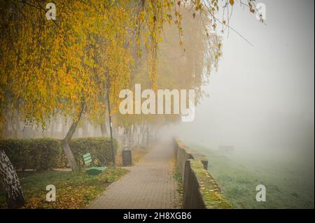 Freddo nebbia mattina nel parco Foto Stock