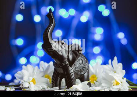 Figura di un elefante in daisy flovers su sfondo bleu. Figurina di elefante di pietra nera tra camomilla Foto Stock