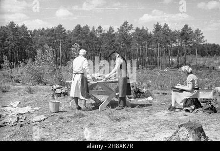 Warszawa, Palmiry, 1946-04-01. Ekshumacja zw³ok pomordowanych. W latach 1939-41 na polanie w Palmirach hitlerowcy dokonywali masowych egzekucji Polaków i ¯ydów. po/ms PAP/Stanis³aw D¹browiecki Varsavia, Palmiry, 1 aprile 1946. Esumazione di coloro che sono stati assassinati dai nazisti. Nel 1939-41 i nazisti eseguirono esecuzioni di massa di polacchi ed ebrei in una radura a Palmiry. po/ms PAP/Stanislaw Dabrowiecki Foto Stock