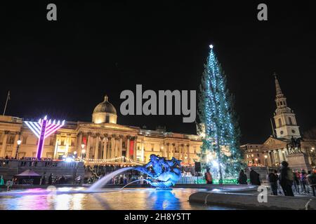 Westminster, Londra, 2 dicembre 2021. L'albero illuminato si erge alto, accanto a Trafalgar Square Menorah, fontane e Galleria Nazionale sullo sfondo. Le luci dell'albero di Natale di Trafalgar Square si accendono questa sera in una cerimonia tradizionale. L'albero alto 25 metri, di solito un abete norvegese, è un regalo dalla gente di Norvegia a Londra, grazie per il sostegno della Gran Bretagna nella seconda guerra mondiale Questa tradizione storica è avvenuta ogni anno dal 1947. Credit: Imagplotter/Alamy Live News Foto Stock