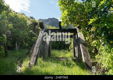 Attrezzatura mineraria abbandonata, pista da passeggio per miniere d'oro di te Aroha Mountain, Nuova Zelanda Foto Stock