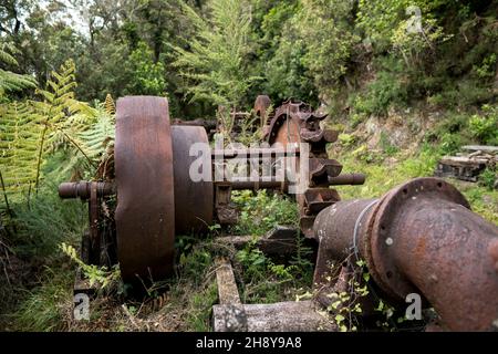 Attrezzatura mineraria abbandonata, pista da passeggio per miniere d'oro di te Aroha Mountain, Nuova Zelanda Foto Stock