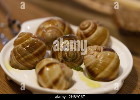 Helix Aspersa Muller piatto di lumaca in un ristorante. Lumache commestibili con burro e condimenti. Foto Stock