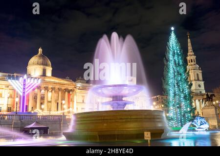 Trafalgar Square, Londra UK, 02 dicembre 2021. Piazza Trafalgar è decorata e celebrata con una colata norvegese, un albero di Natale illuminato, si erge a 24 metri di altezza, di fronte alla galleria nazionale, accanto alle fontane d'acqua e il mercato di Natale. Le luci dell'albero di Natale si accendono in una cerimonia tradizionale questa sera. Ogni anno un albero di Natale è un dono del popolo norvegese al popolo britannico come segno di gratitudine per aver sostenuto il paese nordico durante la seconda guerra mondiale dal 1947. Credit: Xiu Bao/Alamy Live News Foto Stock