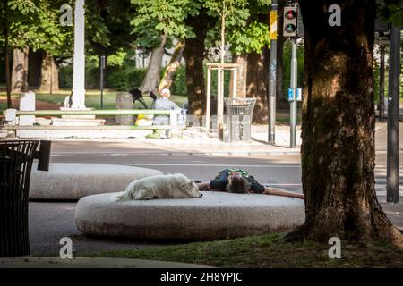 Foto di un uomo che dorme in un parco, che ha un pisolino con il suo cane in un parco pubblico nel centro della città di Lubiana, capitale della Slovenia. Foto Stock