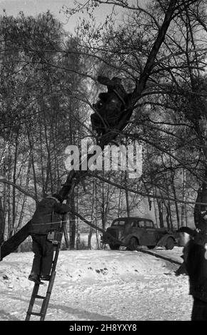 Polska, 1947. Zawody ³y¿wiarskie w jeŸdzie szybkiej o mistrzostwo polski. NZ. Na drzewie practownicy Polskiej Kroniki Filmowej, którzy rejestruj¹ na taœmie filmowej przebieg zawodów. Gr PAP/Stanis³aw D¹browiecki Polonia 1947. Concorso di pattinaggio del Campionato di Polonia. Foto: Notizie polacche rullo cameramen su un albero che registra il corso del concorso. Gr PAP/Stanislaw Dabrowiecki