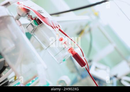 Sacca di sangue appesa al treppiede durante la terapia di trasfusione di sangue nella terapia intensiva. Foto Stock