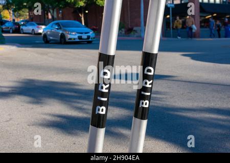 Uccello segno sugli scooter elettrici senza banchina rideshare parcheggiati sulla strada urbana - San Francisco, California, Stati Uniti d'America - 2021 Foto Stock