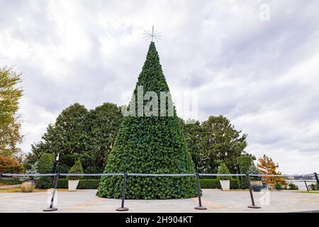 Vista in alto di un albero di Natale nel Dallas Arboretum e Giardino Botanico in Texas Foto Stock