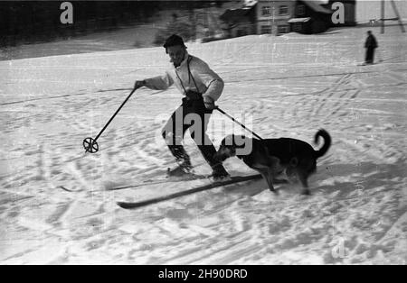 Polska, 1947. Narciarz z psem. kw PAP Dok³adny miesi¹c i dzieñ wydarzenia nieustalone. Polonia, 1947. Uno sciatore con un cane. kw PAP Foto Stock