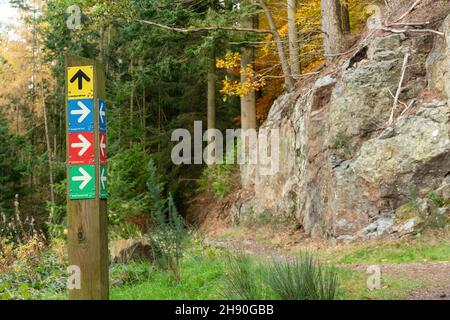 Sentiero e sentieri attraverso Dodd Wood, Forestry England piantagione in Cumbria, Inghilterra, Regno Unito, durante l'autunno o novembre Foto Stock