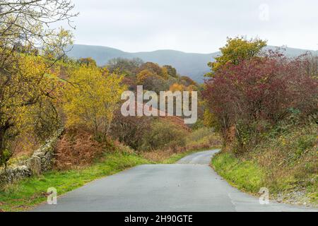 Vista autunnale lungo la strada del Whinlquest Pass nel Lake District National Park durante il mese di novembre, Cumbria, Inghilterra, Regno Unito Foto Stock