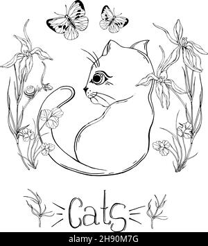 gatto grafico con fiori selvatici con insetti Illustrazione Vettoriale