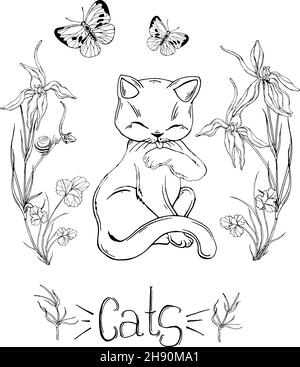 gatto grafico con fiori selvatici con insetti Illustrazione Vettoriale