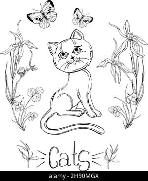 gatto grafico con fiori selvatici con insetti Illustrazione Vettoriale
