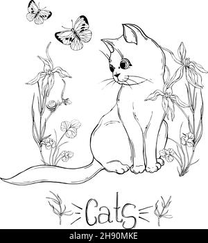 gatto grafico con fiori selvatici con insetti Illustrazione Vettoriale