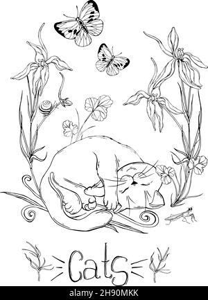 gatto grafico con fiori selvatici con insetti Illustrazione Vettoriale