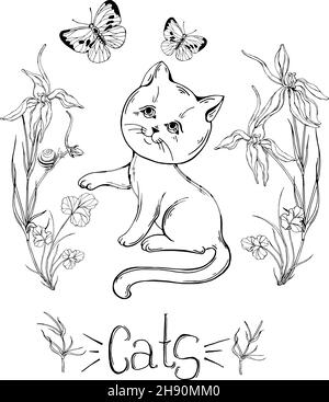 gatto grafico con fiori selvatici con insetti Illustrazione Vettoriale