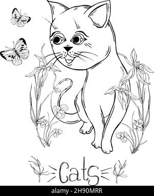 gatto grafico con fiori selvatici con insetti Illustrazione Vettoriale