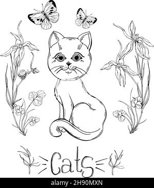 gatto grafico con fiori selvatici con insetti Illustrazione Vettoriale