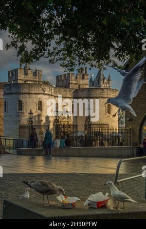 Torre di Londra 15/07/2019 ufficialmente il Palazzo reale di sua Maestà e la Fortezza della Torre di Londra, è un castello storico situato sulla riva nord Foto Stock