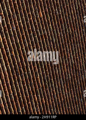 Layout verticale sfondo di tegole invecchiate Foto Stock