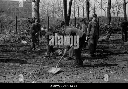 Warszawa, 1947-03. Jeñcy niemieccy porz¹dkuj¹ teren wokó³ Instytutu Geologicznego przy ul. Rakowieckiej. W tle budynek Szko³y G³ównej Handlowej. wb PAP Dok³adny dzieñ wydarzenia nieustalony. Varsavia, marzo 1947. Prigionieri di guerra tedeschi che fanno lavori di manutenzione intorno all'Istituto Geologico in via Rakowiecka. Sullo sfondo la costruzione del Central Business College (SGH). wb PAP Foto Stock