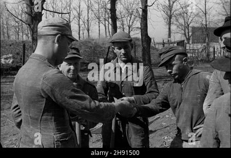 Warszawa, 1947-03. Jeñcy niemieccy porz¹dkuj¹ teren wokó³ Instytutu Geologicznego przy ul. Rakowieckiej. NZ. jeñcy dziel¹ siê chlebem. W tle gmach Urzêdu Patentowego i Centralnego Zarz¹du Energetyki. wb PAP Dok³adny dzieñ wydarzenia nieustalony. Varsavia, marzo 1947. Prigionieri di guerra tedeschi che fanno lavori di manutenzione intorno all'Istituto Geologico in via Rakowiecka. Nella foto: I prigionieri che condividono il pane. Sullo sfondo la costruzione dell'Ufficio brevetti e della Power Industry Central Management. wb PAP Foto Stock