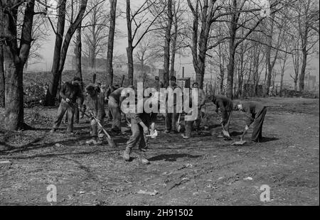 Warszawa, 1947-03. Jeñcy niemieccy porz¹dkuj¹ teren wokó³ Instytutu Geologicznego przy ul. Rakowieckiej. W tle gmach Urzêdu Patentowego i Centralnego Zarz¹du Energetyki. wb PAP Dok³adny dzieñ wydarzenia nieustalony. Varsavia, marzo 1947. Prigionieri di guerra tedeschi che fanno lavori di manutenzione intorno all'Istituto Geologico in via Rakowiecka. Sullo sfondo la costruzione dell'Ufficio brevetti e della Power Industry Central Management. wb PAP Foto Stock