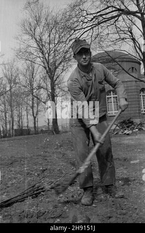 Warszawa, 1947-03. Jeñcy niemieccy porz¹dkuj¹ teren wokó³ Instytutu Geologicznego przy ul. Rakowieckiej. wb PAP Dok³adny dzieñ wydarzenia nieustalony. Varsavia, marzo 1947. Prigionieri di guerra tedeschi che fanno lavori di manutenzione intorno all'Istituto Geologico su Rakowiecka Street. wb PAP Foto Stock