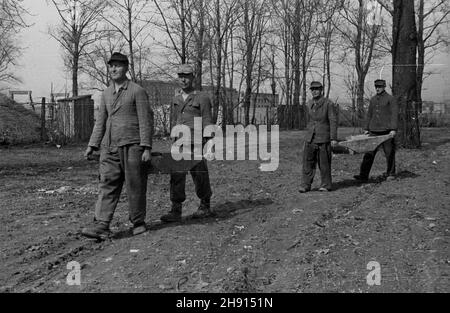 Warszawa, 1947-03. Jeñcy niemieccy porz¹dkuj¹ teren wokó³ Instytutu Geologicznego przy ul. Rakowieckiej. W tle gmach Urzêdu Patentowego i Centralnego Zarz¹du Energetyki. wb PAP Dok³adny dzieñ wydarzenia nieustalony. Varsavia, marzo 1947. Prigionieri di guerra tedeschi che fanno lavori di manutenzione intorno all'Istituto Geologico in via Rakowiecka. Sullo sfondo la costruzione dell'Ufficio brevetti e della Power Industry Central Management. wb PAP Foto Stock