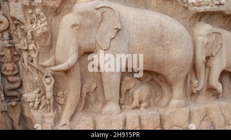 La discesa del Gange, conosciuta anche come Penitenza di Arjuna, a Mahabalipuram, è uno dei più grandi rilievi rocciosi in Asia e presenta in diversi indù Foto Stock