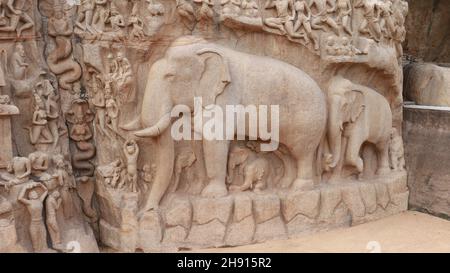 La discesa del Gange, conosciuta anche come Penitenza di Arjuna, a Mahabalipuram, è uno dei più grandi rilievi rocciosi in Asia e presenta in diversi indù Foto Stock