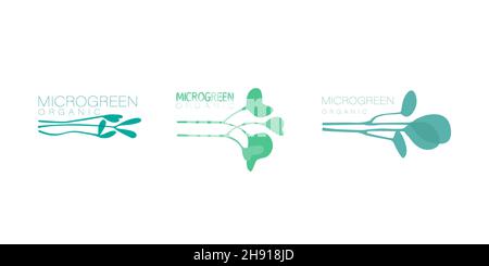 Set di loghi floristici per microgreens, simboli di prodotti biologici. Mini piante per la germinazione. Illustrazioni piatte vettoriali alla moda per il design. Illustrazione Vettoriale