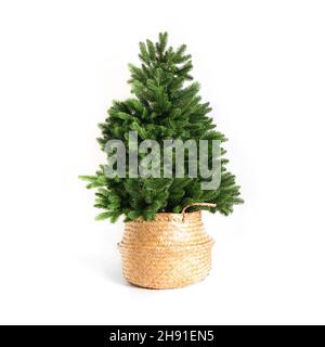 Albero di Natale artificiale senza decorazione su stand avvolto in burlap isolato su sfondo bianco. Vacanze natalizie in stile scandinavo. Chr. In ghisa riutilizzabile Foto Stock