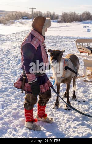 Sami uomo che indossa gákti calmando una renna nervosa, incise a una slitta in una giornata di neve e sole a Masi, Norvegia Foto Stock
