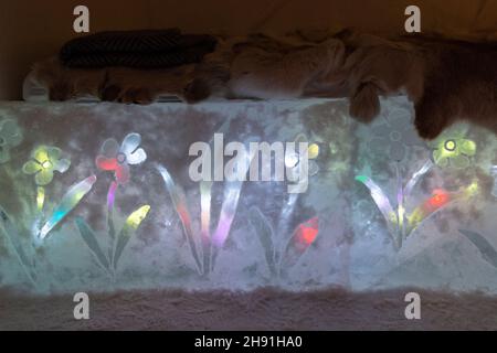 Suite con camera da letto a tema Folklore nordico nel Sorrisniva Igloo Hotel, alta, Norvegia 2020 Foto Stock