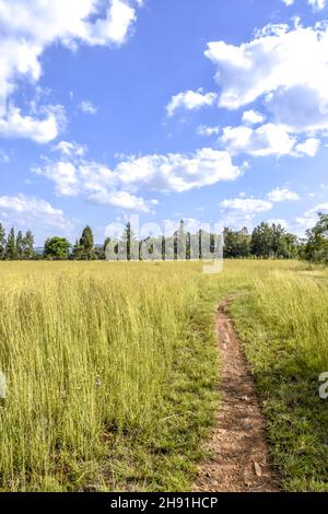 Una vista paesaggistica in Pretoria Sud africa orientale con alberi all'orizzonte prati e un cielo blu con nuvole e colline sullo sfondo su un luminoso Foto Stock