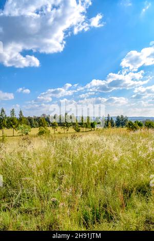 Una vista paesaggistica in Pretoria Sud africa orientale con alberi all'orizzonte prati e un cielo blu con nuvole e colline sullo sfondo su un luminoso Foto Stock