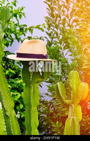 Il cappello di paglia della ragazza è appeso su un cactus alto Foto Stock