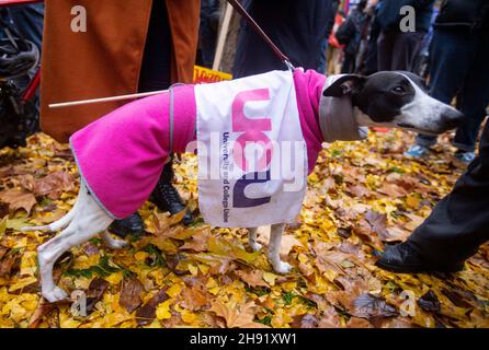 Londra, Regno Unito. 3 dicembre 2021. Dimostrazione DI UCU in Tavistock Square. Stanno marciando verso la città di Londra in solidarietà con gli scioperi dell'istruzione superiore. L'Università e l'Unione universitaria hanno annunciato che i suoi membri cesseranno di lavorare sui tagli alle pensioni, sulle retribuzioni e sulle condizioni di lavoro. L'Unione ha detto che tre giorni consecutivi di scioperi si sarebbero svolte a partire dal 1° dicembre presso le 58 istituzioni che hanno sostenuto le elezioni per l'azione industriale questo mese. Credit: Tommy London/Alamy Live News Foto Stock