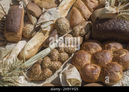 Shot ad alta angolazione di vari tipi di pane Foto Stock