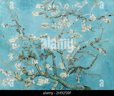 Vincent van Gogh, Almond Blossom, 1890, olio su tela, Amsterdam, Paesi Bassi Foto Stock