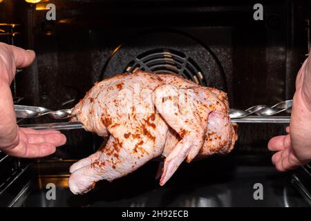 Mani mettendo il pollo intero crudo per arrostire nel forno, primo piano. Preparazione di un piatto di carne per una cena di festa. Cibo naturale sano fatto in casa Foto Stock