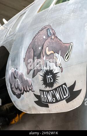 Nose art of USAF Boeing B-29A Superfortress 44-61748, IT's Hawg Wild, all'American Air Museum all'Imperial War Museum di Duxford Foto Stock